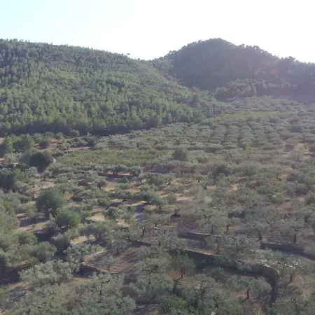 Mas Augueró Casa rural *